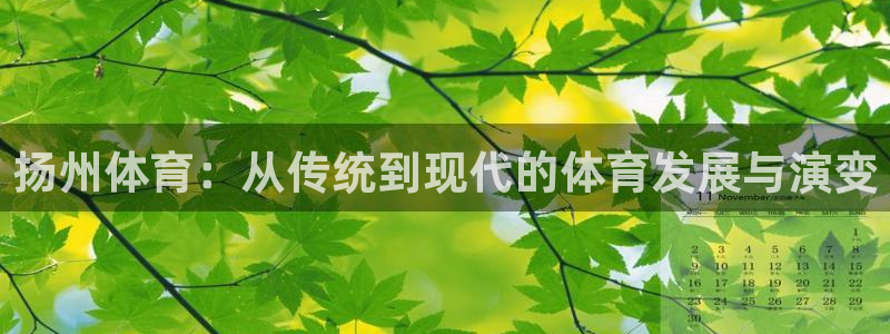 球王会体育官网下载招商：扬州体育：从传统到现代的体育