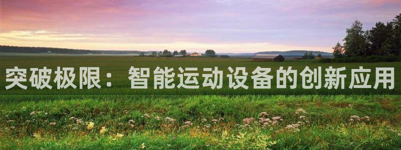 球王会体育官方正版app集团官网首页：突破极限：智能