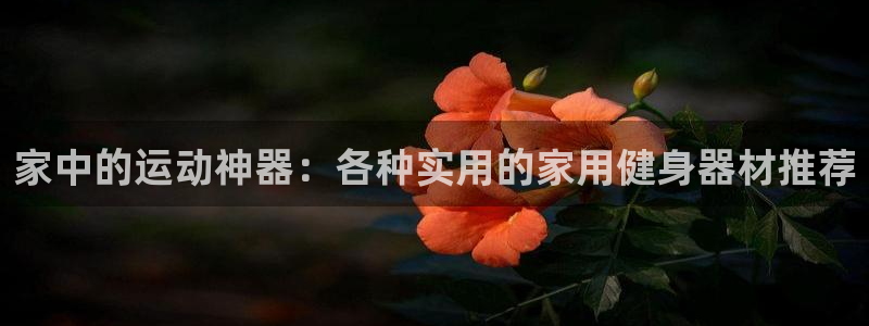 球王会体育官网下载平台注册流程视频：家中的运动神器：