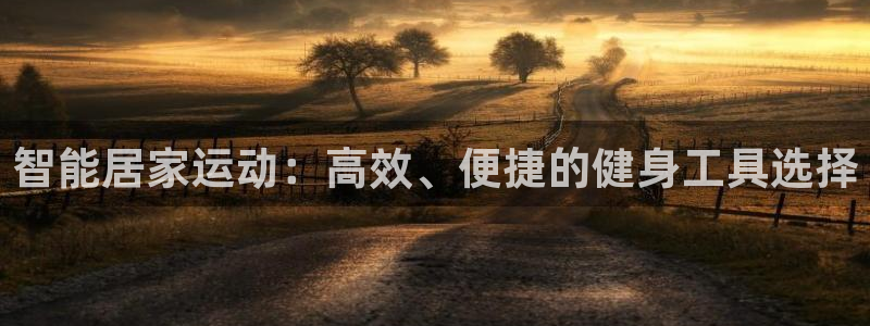球王会体育官方正版app娱乐是那个系列的台子：智能居