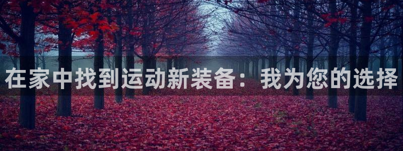 球王会体育官方正版app集团官网首页：在家中找到运动