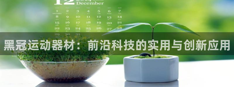 球王会体育官方正版app集团官网首页：黑冠运动器材：前沿科技