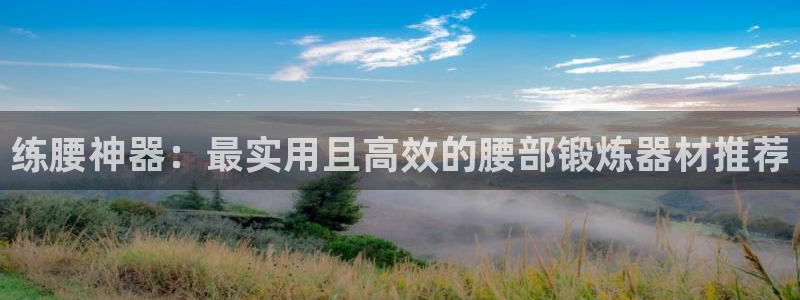 球王会体育官网下载：练腰神器：最实用且高效的腰部锻炼器材推荐