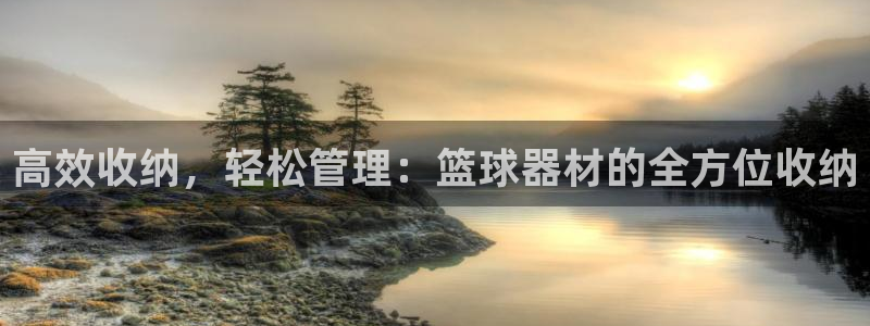 球王会体育官方正版app集团简介：高效收纳，轻松管理：篮球器