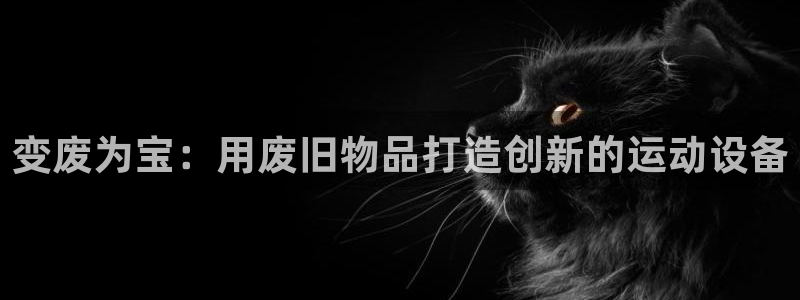 球王会官方平台体育：变废为宝：用废旧物品打造创新的运